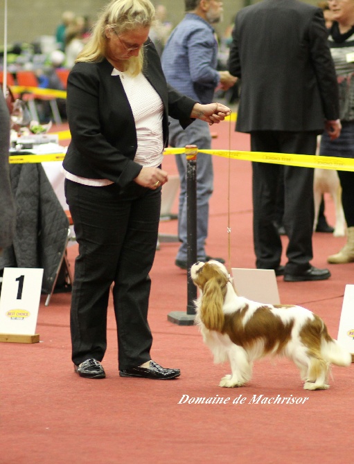 du domaine de machrisor - Expo Gand 23/02