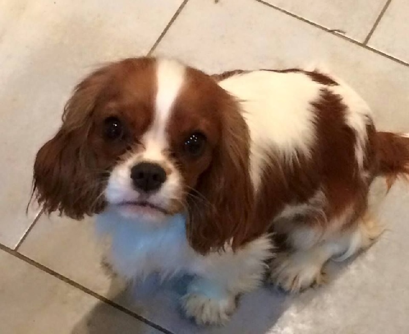 Je t'aime moi non plus du domaine de machrisor