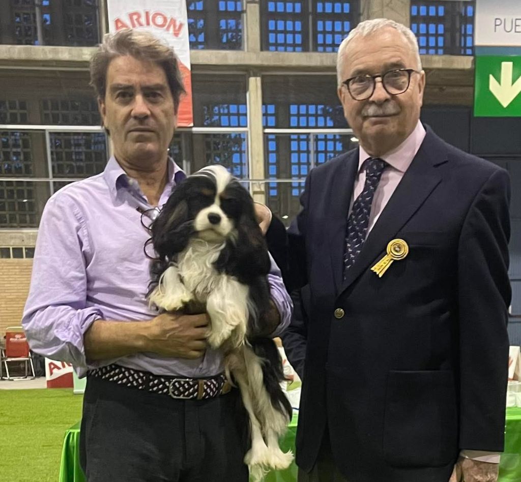 du domaine de machrisor - Champion jeune d'Espagne